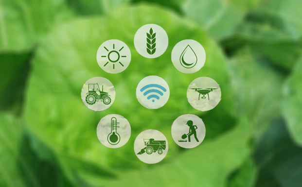 智慧农业 智慧农业