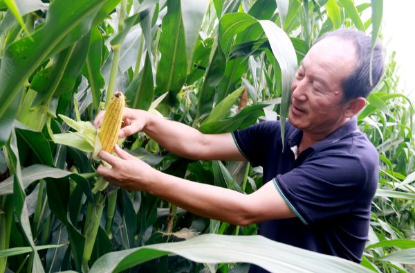 沃滴滴,生物液态肥