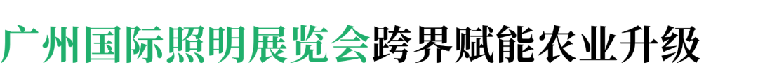 照明展